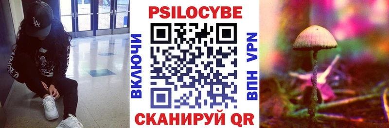 Псилоцибиновые грибы GOLDEN TEACHER  Санкт-Петербург 